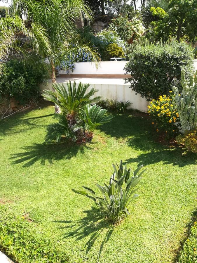 Bianco Sale Trapani Bed and Breakfast Rilievo Eksteriør billede